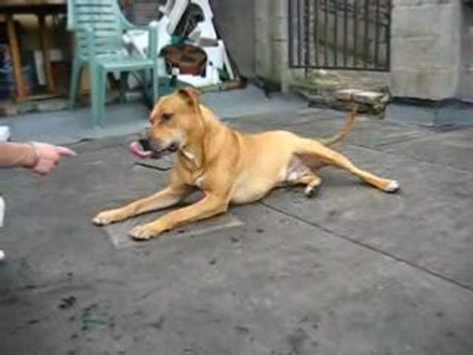 Jack 3 ans