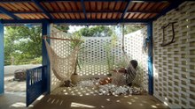 NEVER TOO SMALL:  Brazilian Tiny House Farm Retreat - Brasília 57sqm/613sqft