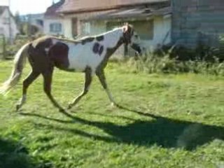 travail en liberté 3