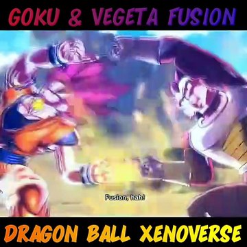 Goku & Vegeta Fusion - Dragon Ball: Xenoverse #vegeta #dbz #goku #dragonball #xenoverse #dbz