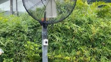 Mingletec powerful BLDC industrial wall fan #mingletec #powerful #BLDCfan #industrialfan #wallfan #outdoor #factory #warehouse #manufacturer #fyp