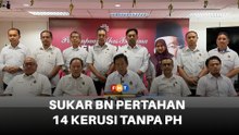Sukar BN pertahan 14 kerusi tanpa PH jika ada PRN mengejut di NS, kata penganalisis