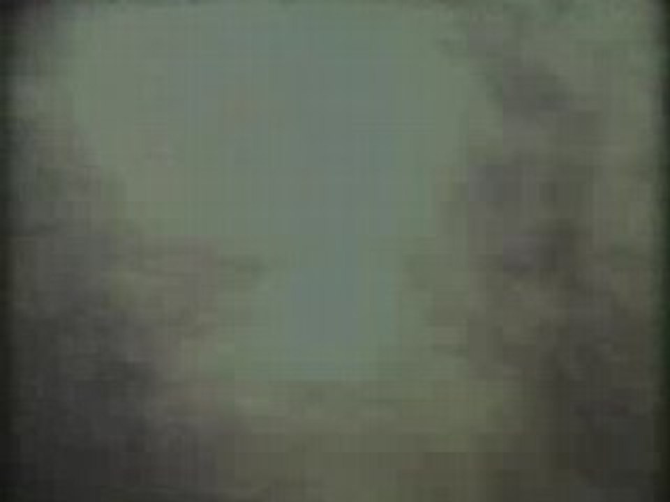 arbres