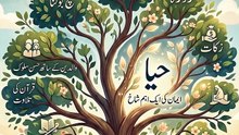 Today Best Islamic Video 🌹🌹🌹