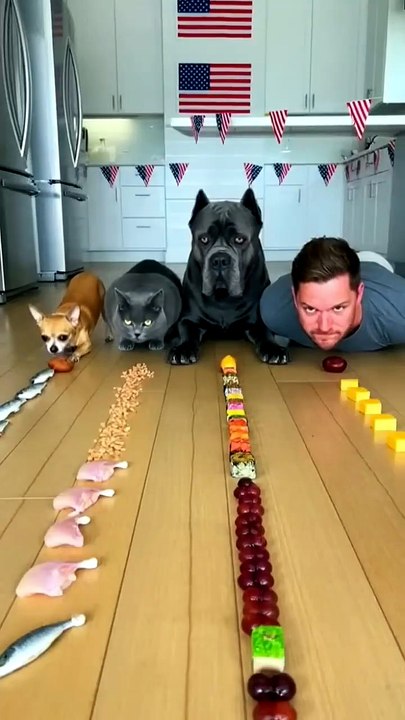 مهارة فريدة من نوعها! 🐾🍽️ | A Very Unique Skill! 🐾🍽️