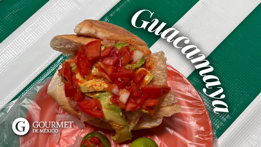 Guacamayas de Guanajuato
