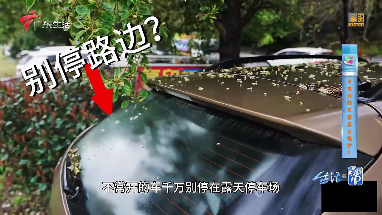 2026-03-29 生活·帮：比亚迪S6打不着了，不常开的车要怎么维护？怎么做才不会放坏