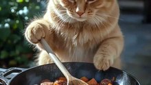 Ginger Cat Chef Cooks a Cozy Cabin Meal 😻🍳🐾