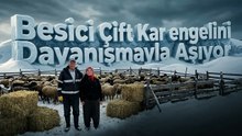 Besici çiftin mayıs karında zorlu mesaisi