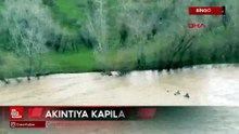 Bingöl'de çayda akıntıya kapılan atın kıyıya çıkıp kurtulduğu anlar kamerada
