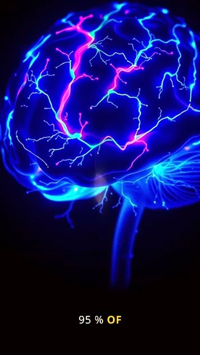 Your Brain's Dopamine Loop (And How to Hack It)