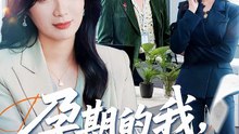 【短剧合集】 孕期的我整顿职场