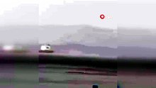 Yağmur altında yunus sürprizi!