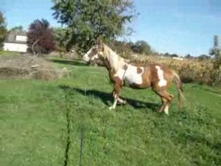 sceance longe enrenement 3