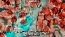 #Alive (2020) Full Movie English Sub [Full Movie] [Long Version]Full EP - Full