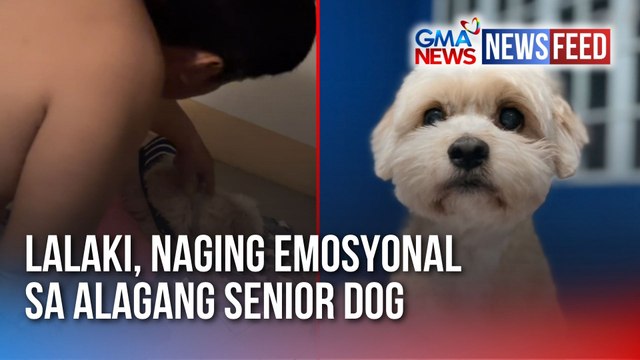 Lalaki, naging emosyonal sa alagang senior dog | GMA News Feed