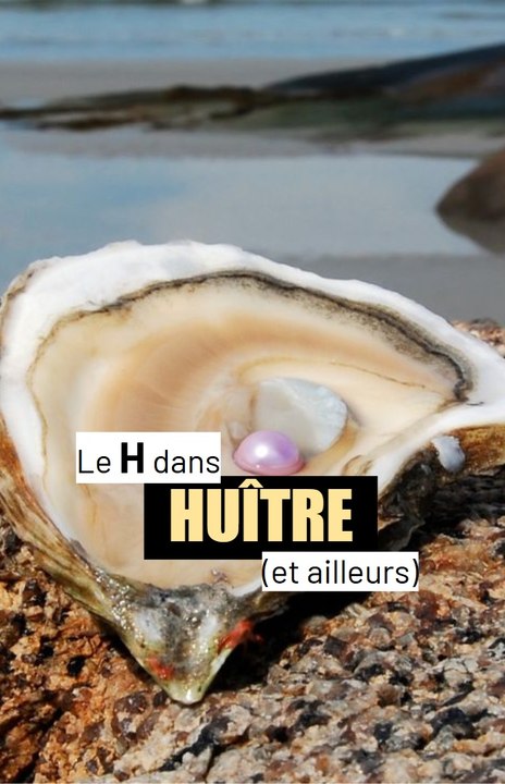 Le H dans HUÎTRE
