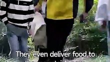 Tycoon In Disguise Their Downfall Begins chinese drama [Full Movie] [Full Series]Full EP - Full