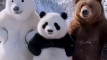 # WINTER BEAR SQUAD