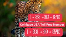 【COINBASE®】Customer- Service And.Support } Number - Complete Guide to Live Chat,, and 24/7 Service Care℗@2o26