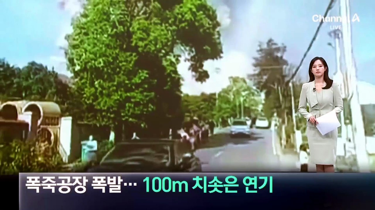 中 폭죽 공장 폭발…100m 치솟은 연기