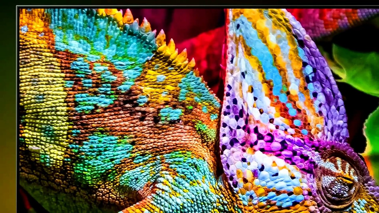 Hisense 85U6SF Pro Smart TV Review & Features