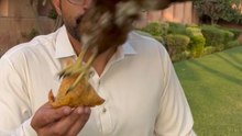 Swift eagle outshines thieves by swiftly grabbing a Samosa