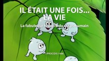 Il était une fois... la Vie - 11 - L'oeil - HD 1080