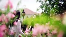 Broken of Love- Episode 6