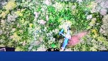 Drone localiza avião agrícola que caiu no interior de Minas Gerais