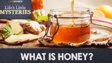 What is Honey Technically?
