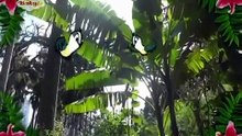 Go eco 2 (Credit by Children develop playing)
