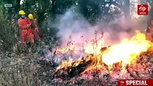 फायर हॉटस्पॉट बना बदरी-केदार वन क्षेत्र, क्या श्रद्धालुओं की भीड़ बढ़ा रही खतरा?