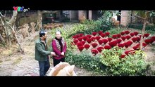 Ngược Đường Ngược Nắng - Tập 22 Phim Việt Nam VTV1