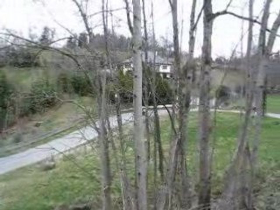 MVI_5028