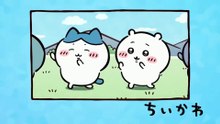 Chiikawa EP269 「涸れた②」