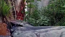 DENÚNCIA: Moradores reclamam que rua cedeu há dois anos e nada foi feito