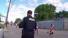 cão meia maratona indianapolis