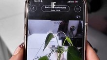 Unlock Your iPhone's Secret 'Shazam' for Photos!