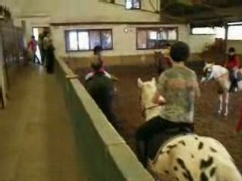 07-06-2008 leçon d'équitation donné par Vivi