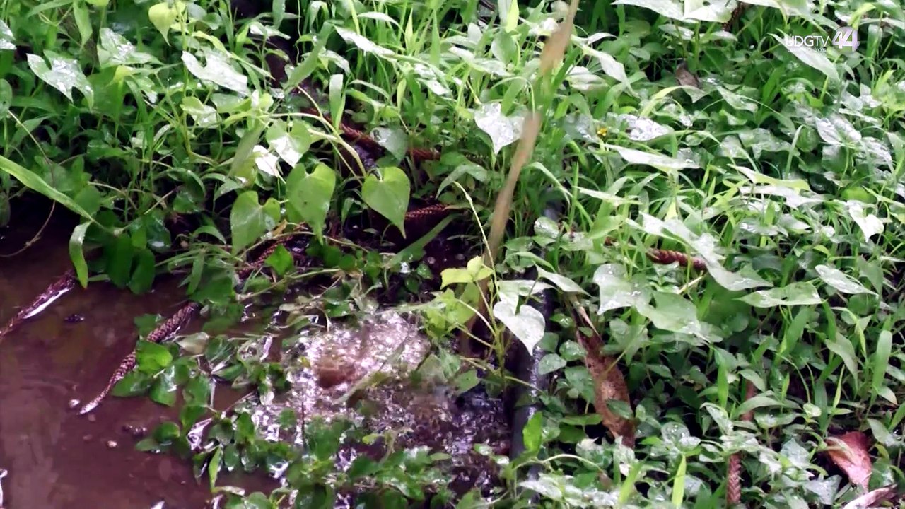 Siapa oculta resultado de estudios al agua este año