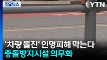 '차량 돌진' 인명피해 막는다...용인시, 충돌방지시설 의무화 / YTN