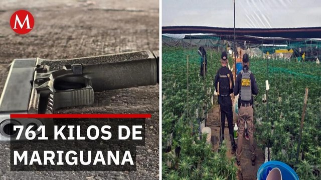 Decomisan drogas, armas y explosivos en operativos en seis estados del país