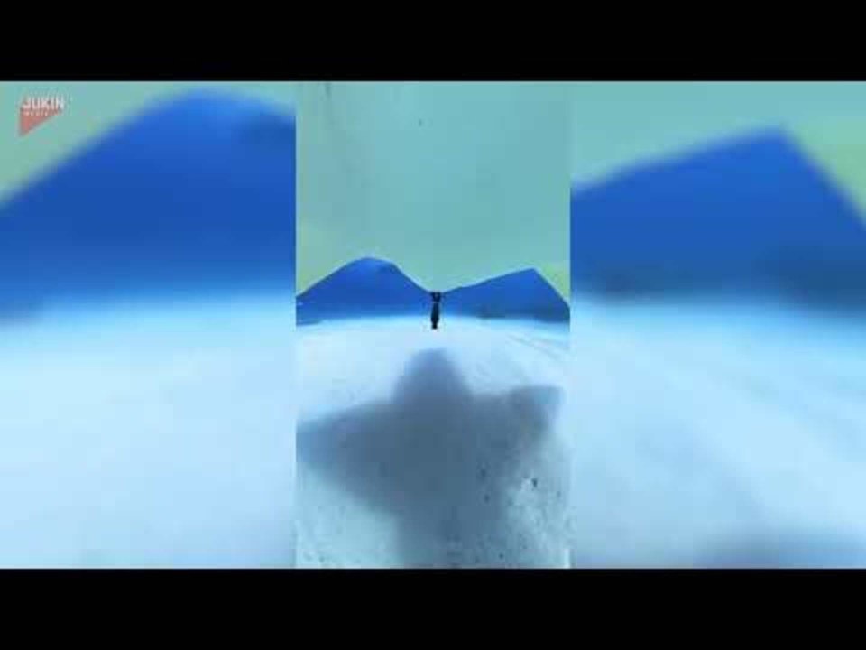 Lemon Shark Takes Camera From Diver