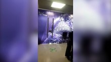 La Libertad Avanza reemplazó la bandera por un león en una sala del Anexo