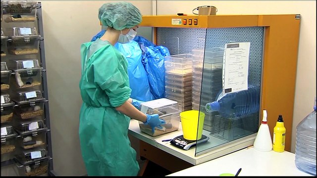 Sanidad descarta la llegada a Canarias del crucero con hantavirus sin nuevos casos