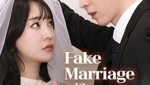 Fake Marriage With My Ceo Bestie Kdrama