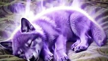 My Beggar Husband Is A Wolf God FULL DRAMA 2026 [Full Movie] [Watch Free Online]Full EP - Full