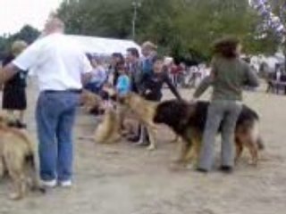 concours de leos