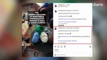 La valenciana a bordo del crucero del hantavirus: "Preparando a la gente para el fin del mundo"